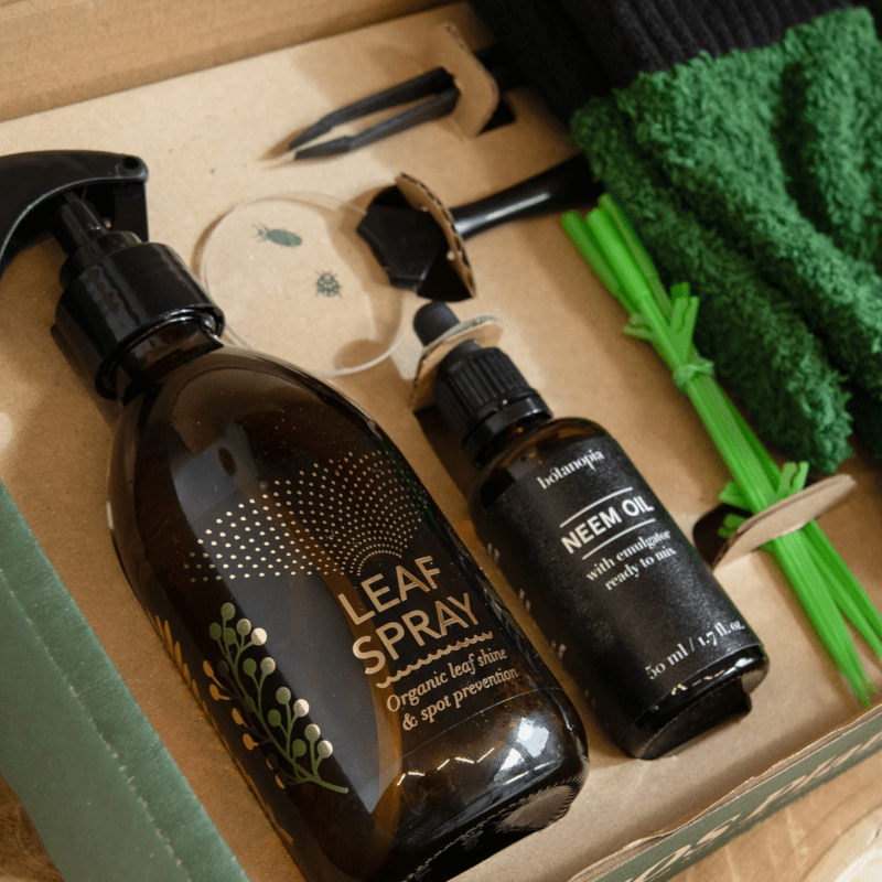 Pflanzenkit - SOS first aid von Botanopia