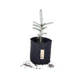 Pflanzensack - Tannenbaum von Gorilla Gardening