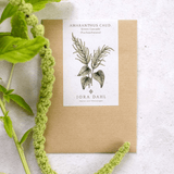 Pflanzensamen - Fuchsschwanz Amaranthus caudatus von Jora Dahl