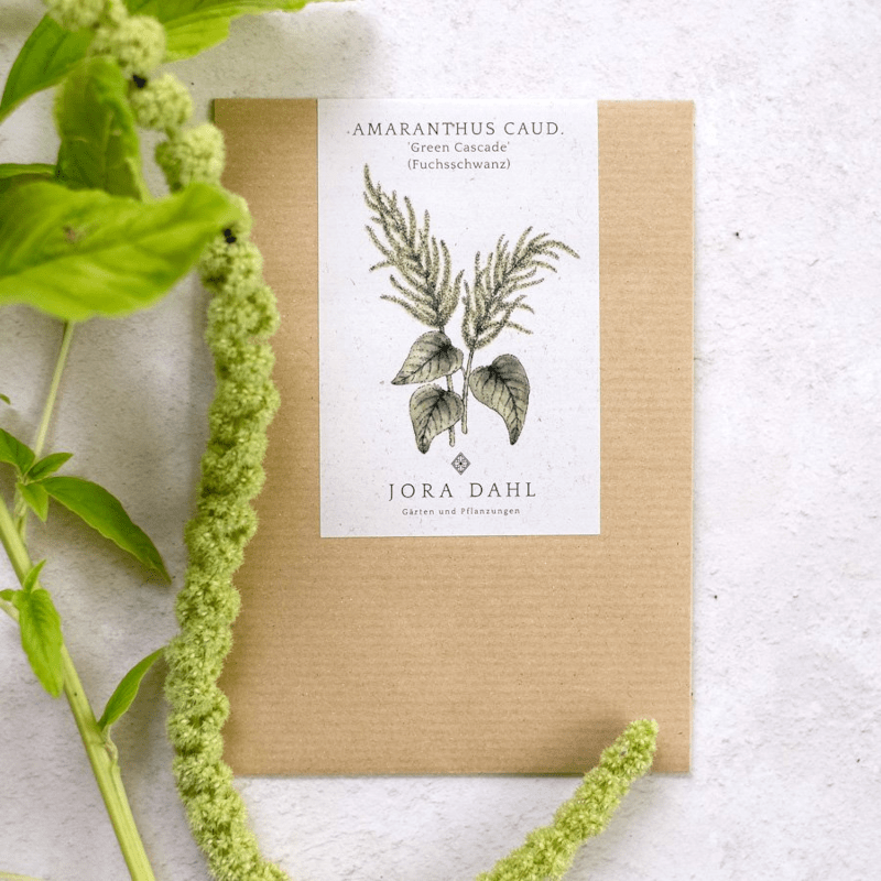 Pflanzensamen - Fuchsschwanz Amaranthus caudatus von Jora Dahl