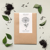 Pflanzensamen - Knorpelmöhre Ammi majus von Jora Dahl