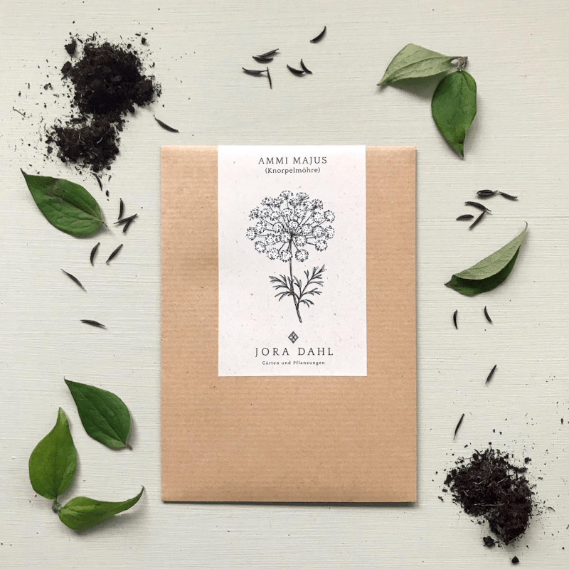 Pflanzensamen - Knorpelmöhre Ammi majus von Jora Dahl