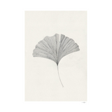 Print - Ginkgo Leaf von The Poster Club