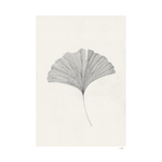 Print - Ginkgo Leaf von The Poster Club