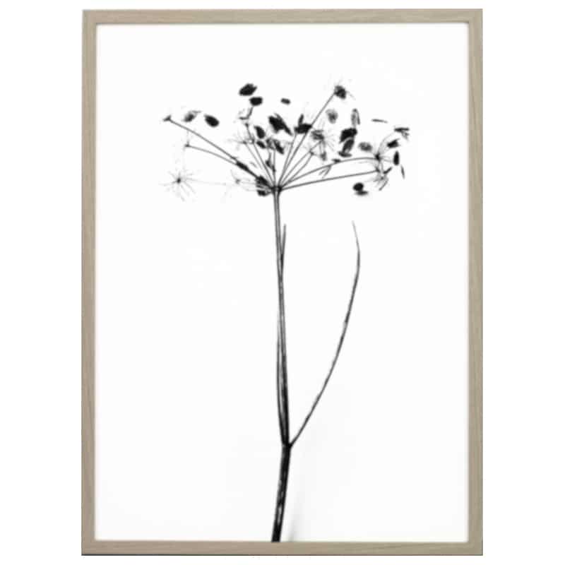 Print - I do I do I do von one must dash