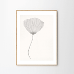 Print - Poppy von Ana Frois