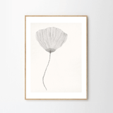 Print - Poppy von Ana Frois