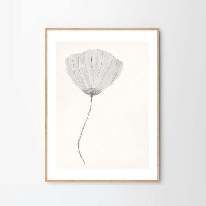 Print - Poppy von Ana Frois