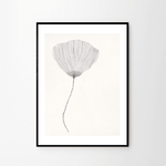 Print - Poppy von Ana Frois