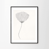 Print - Poppy von Ana Frois