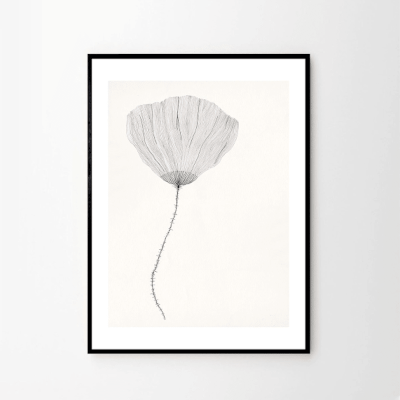 Print - Poppy von Ana Frois