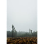 Print - Skog von Fine little Day