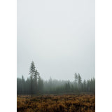 Print - Skog von Fine little Day