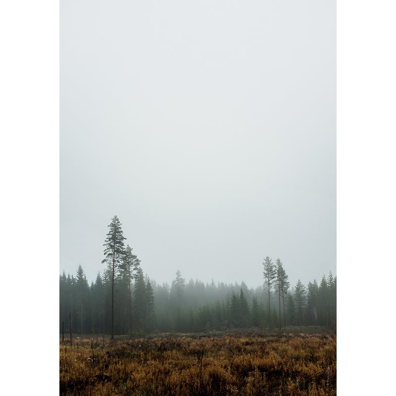 Print - Skog von Fine little Day
