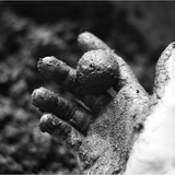 Seedball - Bienen von Gorilla Gardening