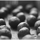 Seedball - Bienen von Gorilla Gardening