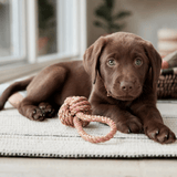 Spielzeug Dog - Otto caramel von OYOY