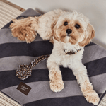 Spielzeug Dog - Otto choko von OYOY