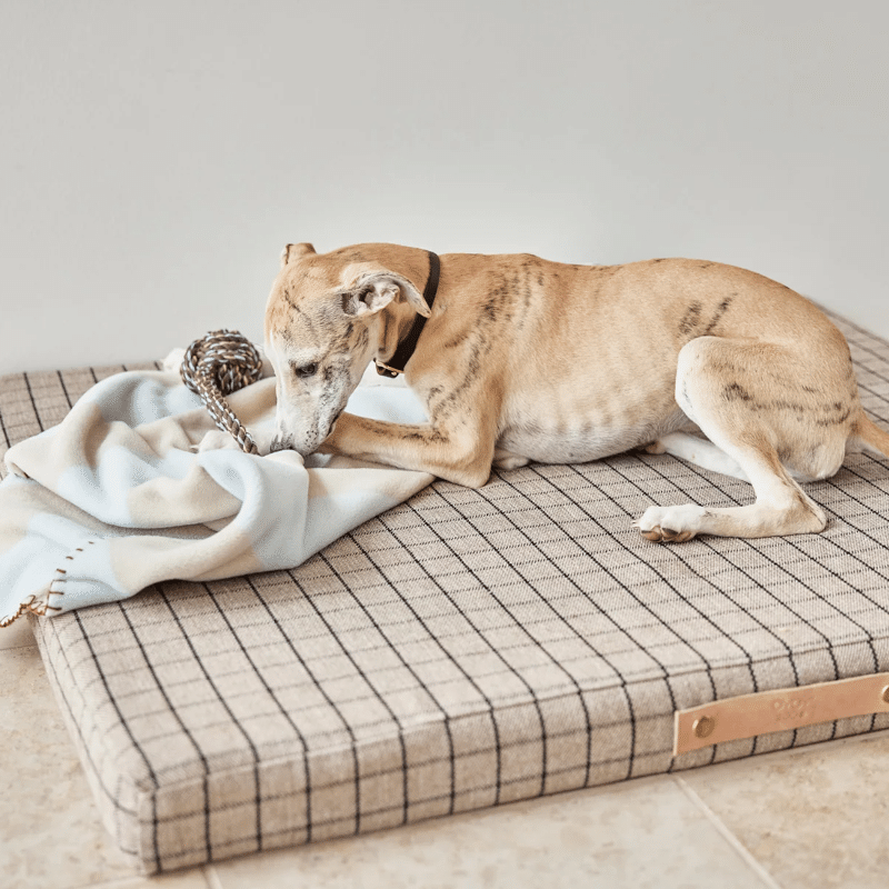 Spielzeug Dog - Otto choko von OYOY