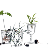 Botanopia - Sprout L weiss