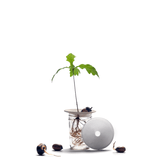 Sprout - S weiss von Botanopia