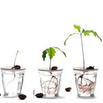 Sprout - S weiss von Designsprout