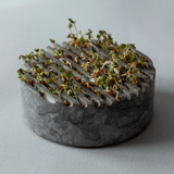 Sprout Stein - GROWING PLATE grey von Stenhuggardottern