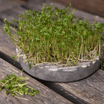 Sprout Stein - GROWING PLATE grey von Stenhuggardottern