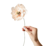 Studio About - Papierblume Poppy nude