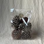 Tine K Home - Tannzäpfen Cones 5er Pack