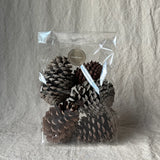 Tine K Home - Tannzäpfen Cones 5er Pack