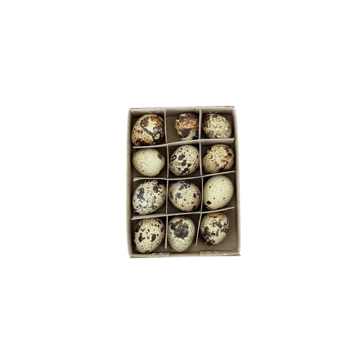 Tine K Home – Wachteleier Deko 12er Set