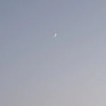 Tinktur - Good Night von Kruut