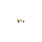 Titlee - Ohrstecker Grant Heart Gold/Schwarz