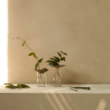 Vase - Cresco Propagation 2er Set von Audo