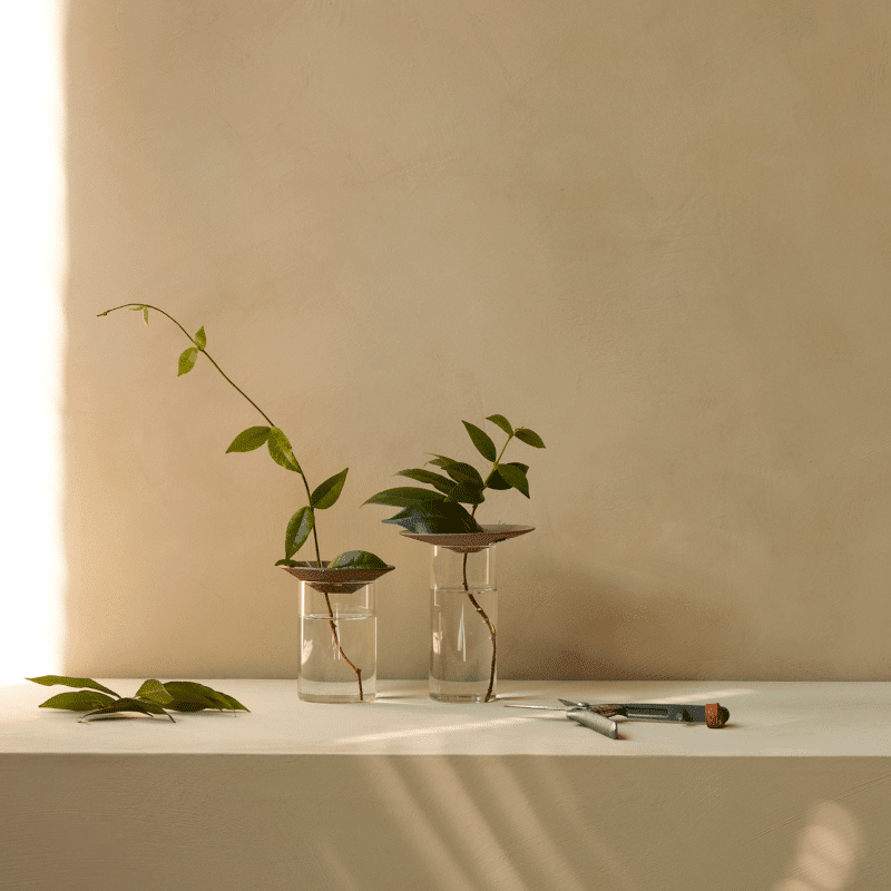 Vase - Cresco Propagation 2er Set von Audo