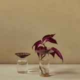 Vase - Cresco Propagation 2er Set von Audo