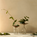 Vase - Cresco Propagation 2er Set von Audo