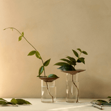 Vase - Cresco Propagation 2er Set von Audo
