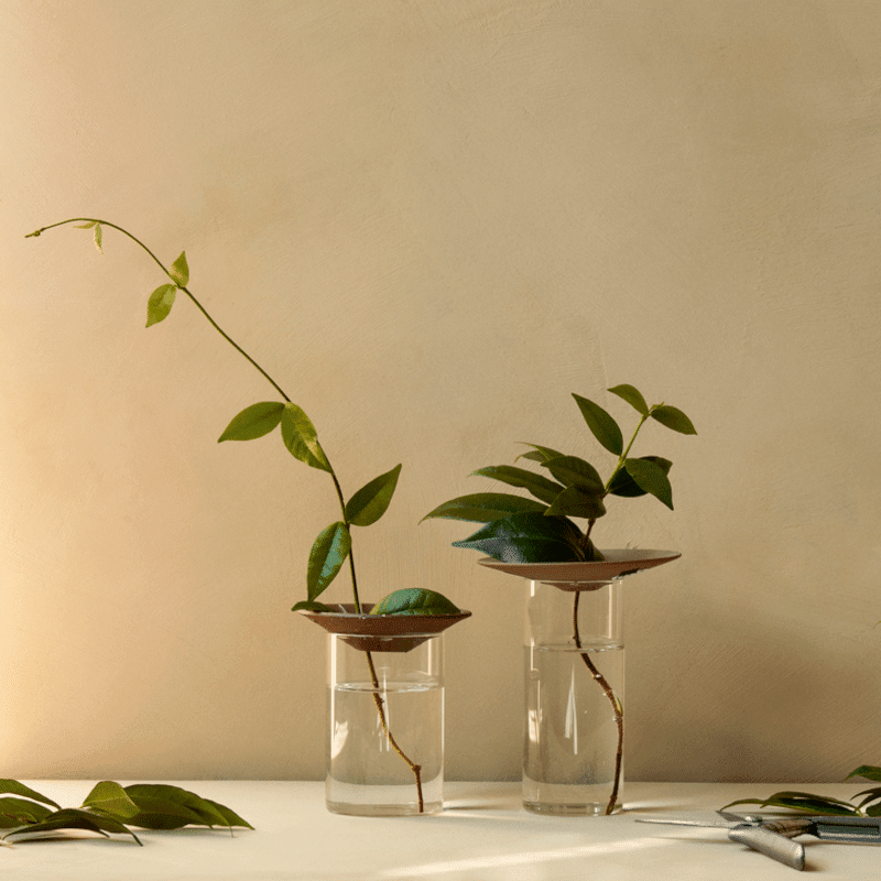 Vase - Cresco Propagation 2er Set von Audo