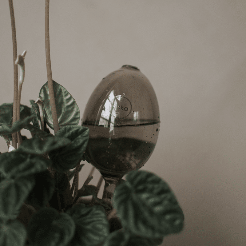 Wasserspender - Bubble brown von dbkd