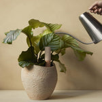 Wasserspender - Hydrous Watering Stick von menu