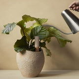 Wasserspender - Hydrous Watering Stick von menu