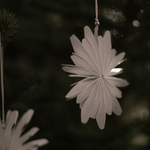 Weihnachtsdeko - Paperflake von dbkd
