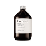 Wildkräuter Oxymel - Balance - L: 500ml von Kruut