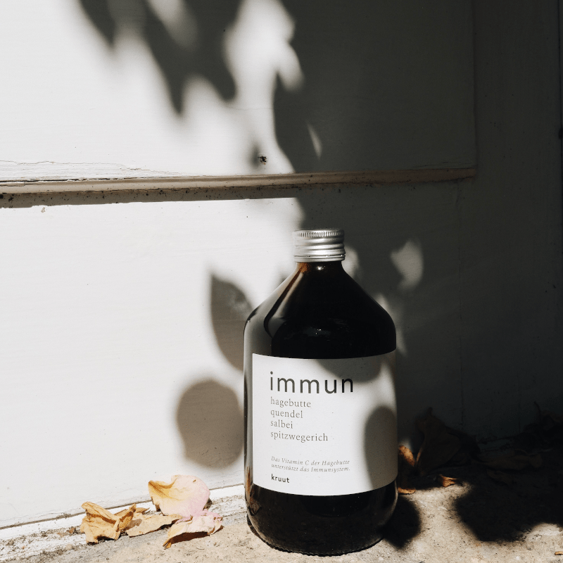 Wildkräuter Oxymel - Immun von kruut