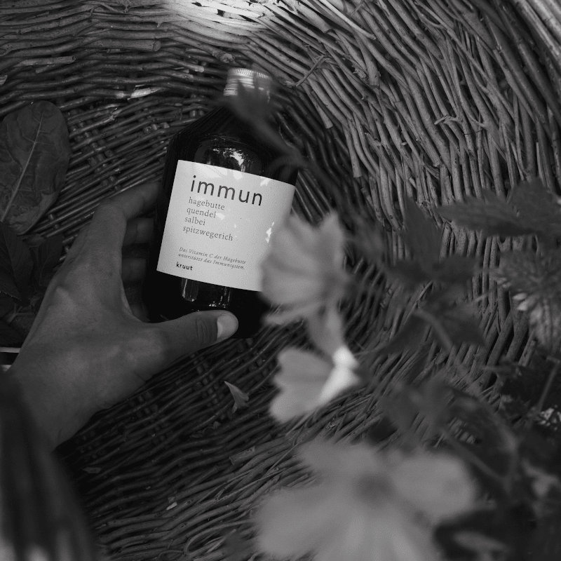 Wildkräuter Oxymel - Immun von kruut