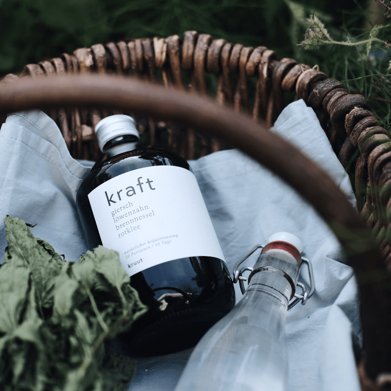 Wildkräuter Oxymel - Kraft von kruut