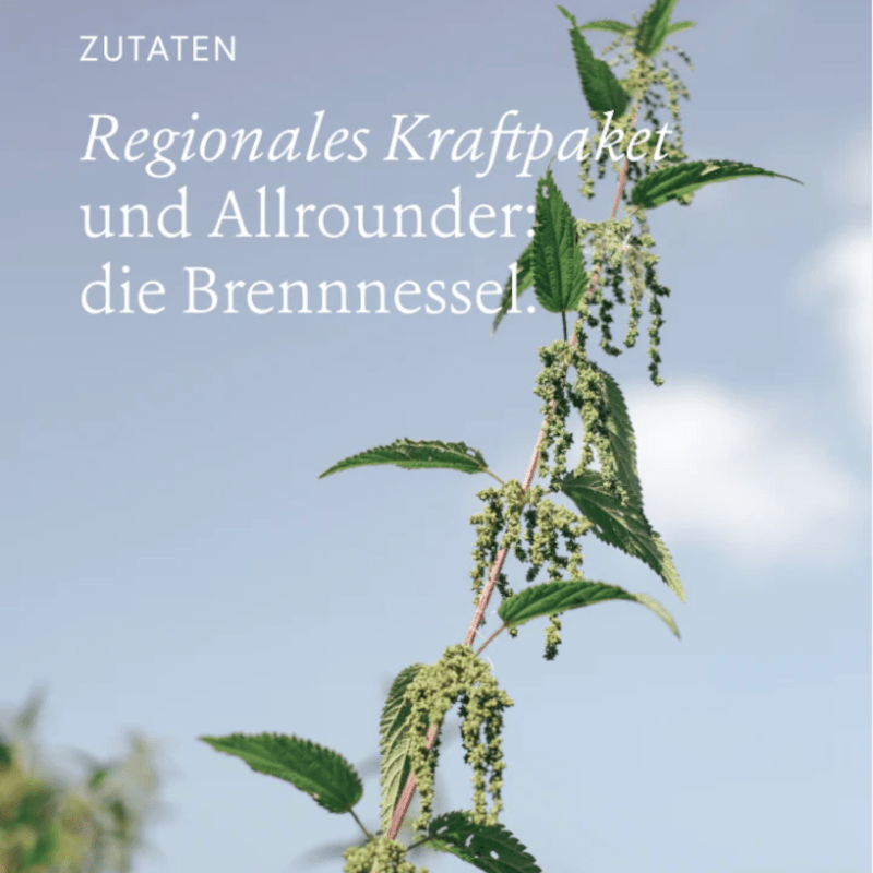 Wildpflanzenpulver - Wild Seeds von kruut