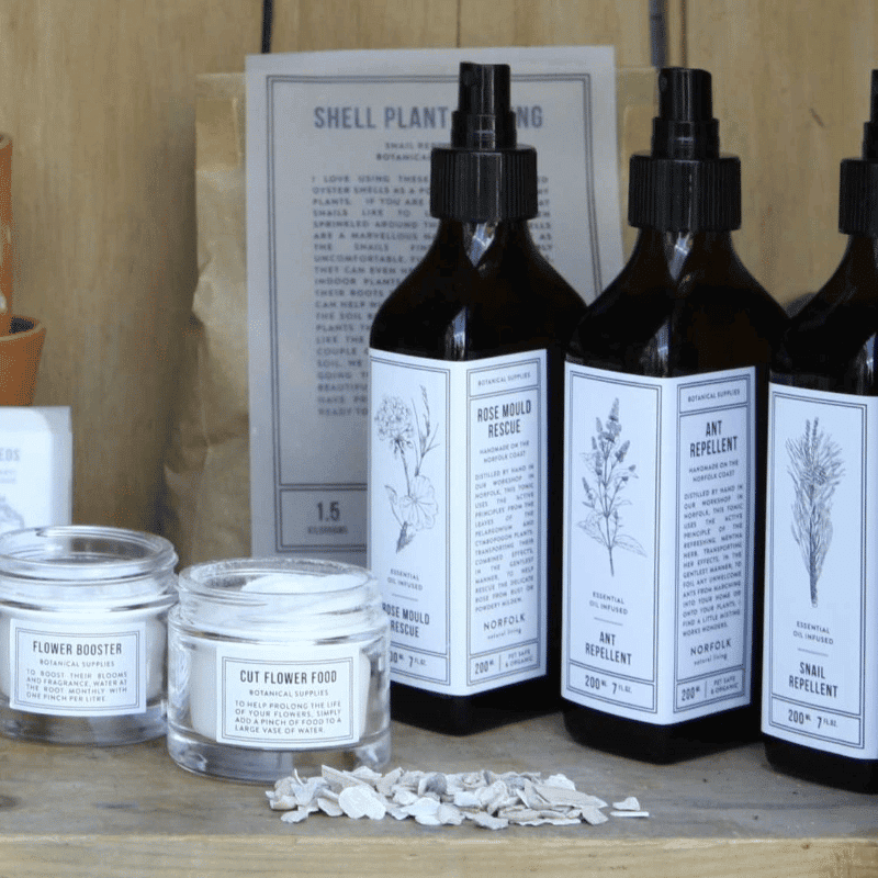 Zimmerpflanzen Topping - Shell von Atlantic Folk